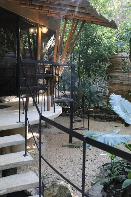 Zen Canto Villa Tuuch :: May The Jungle Be With You Tulum México