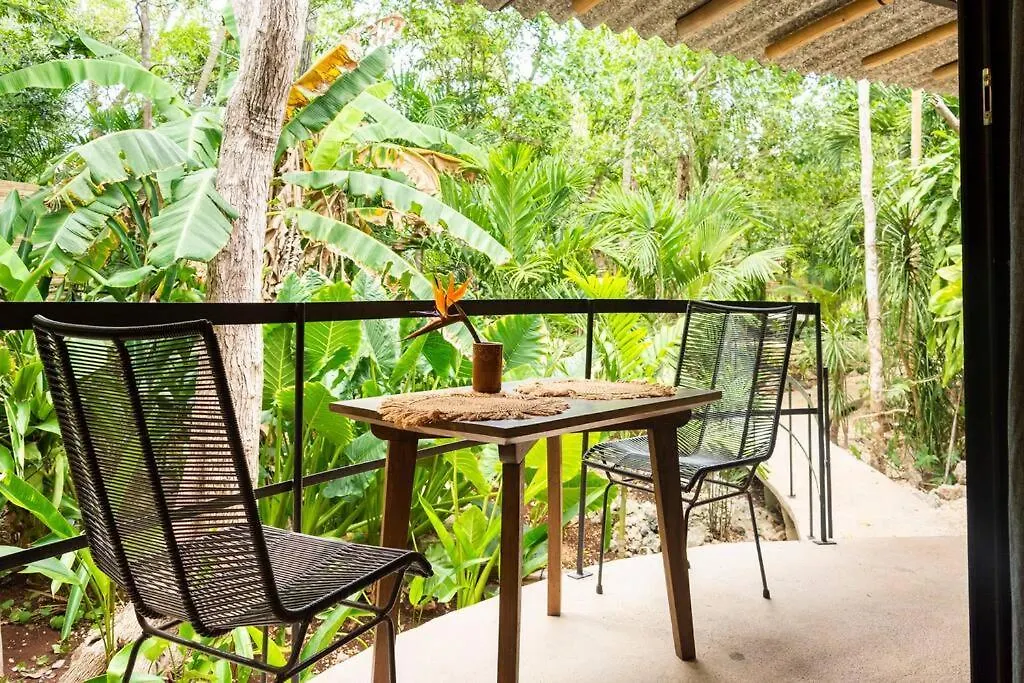 Zen Canto Villa Tuuch :: May The Jungle Be With You Tulum