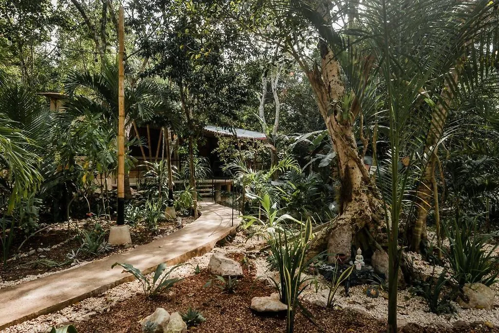 Zen Canto Villa Tuuch :: May The Jungle Be With You Tulum 0*,