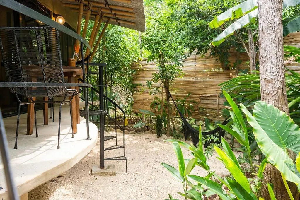 Zen Canto Villa Tuuch :: May The Jungle Be With You Tulum Casa de Férias
