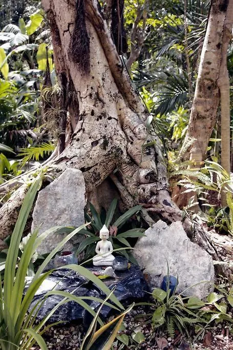 Zen Canto Villa Tuuch :: May The Jungle Be With You Tulum Casa de Férias