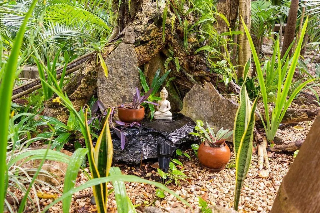 Casa de Férias Zen Canto Villa Tuuch :: May The Jungle Be With You Tulum