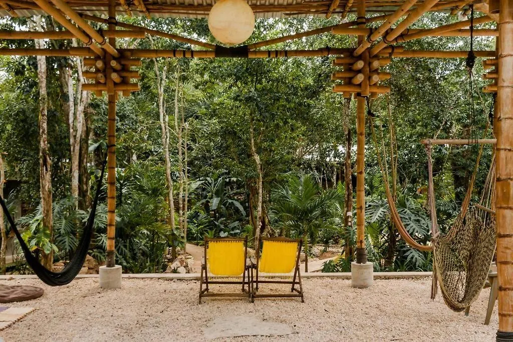 Zen Canto Villa Tuuch :: May The Jungle Be With You Tulum 0*,  México