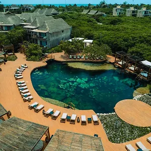 Shibari - Restaurant & Cenote Club Hotel