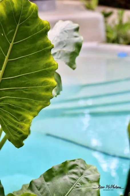 Holiday home Zen Canto Villa Tuuch :: May The Jungle Be With You Tulum Mexico