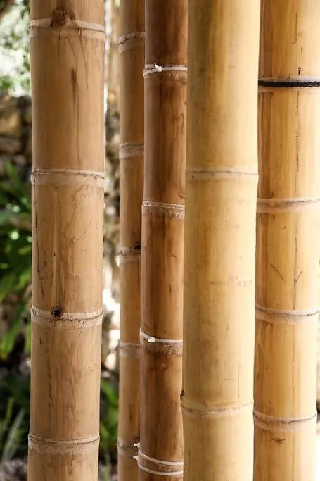 Holiday home Zen Canto Villa Tuuch :: May The Jungle Be With You Tulum