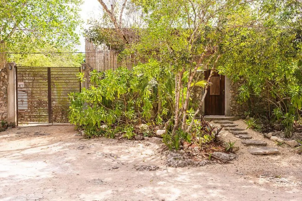 Zen Canto Villa Tuuch :: May The Jungle Be With You Tulum 0*,