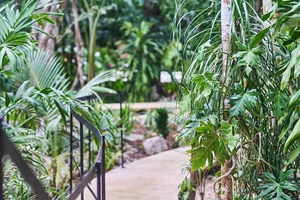 Zen Canto Villa Tuuch :: May The Jungle Be With You Tulum Holiday home